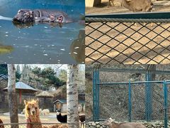 -大连森林动物园