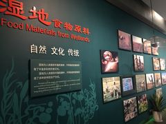 -中国湿地博物馆