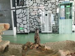-海合安武汉极地海洋公园