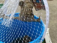 -前小桔亲子创意农场·草莓采摘·露营烧烤