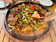 -老板恋上鱼(恒隆广场店)