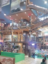 -卡通尼·Safari非洲探索乐园·生日会(金桥国际商业广场店)