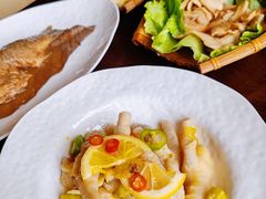 -滇野云南野生菌餐厅(陕西南路店)