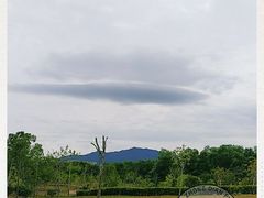 -聚龙山公园