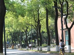 -四川大学(望江校区)