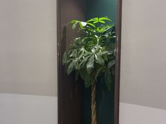 -东荟轩
