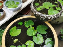 -秦美花卉(天朗·莱茵小城2期店)