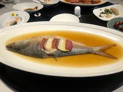 清蒸鲥鱼-HOMES上海本帮菜(襄阳公园店)