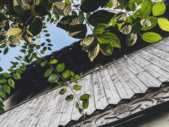 -黎里古镇