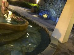 -天目湖涵田半山温泉