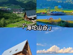 -桔子文创·企业团建·活动策划·拓展会议