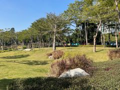 -深圳市人才园(深南大道店)