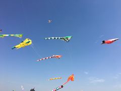 -巨鹏飞梦幻海岸