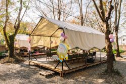 -派对猴生日派对策划