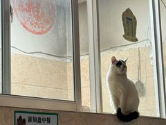 -尼玛藏家风味园(阿山食城店)