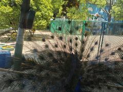 -宁波九龙湖开元度假村