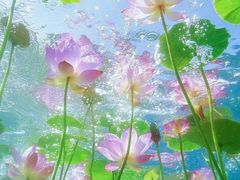 -长广溪湿地公园