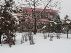 -张店儿童公园