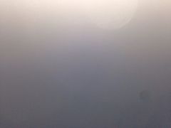 添好运点心专门店(中环IFC店)-添好运点心专门店(中环IFC店)