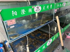 -阳澄湖大闸蟹·琼灵阁牌品牌连锁(吴中总店)