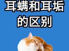-宠颐生宠物医院·心肾内科·猫专科诊疗中心宠巢店