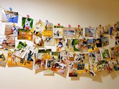 -Husky Go! 哈士奇体验馆·宠物咖啡厅狗咖