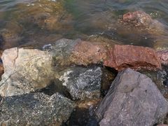 -丁香湖公园