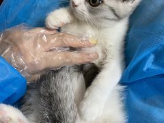 -客栈猫舍(中央北路店)