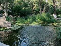 -西宁市人民公园(城西区)