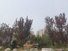 -南翠屏公园
