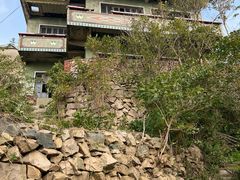 -东极岛景区-青浜岛