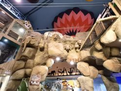 -卡通尼·Safari非洲探索乐园·生日会(金桥国际商业广场店)