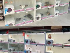 -lincat·猫舍(广州店)