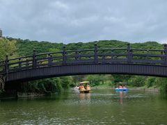 -苏州上方山国家森林公园