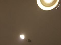 -金北顺大锅家(신사본점)