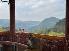 -黔灵山公园
