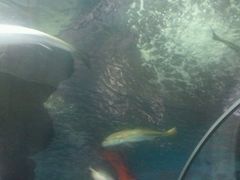 -洛阳龙门海洋馆