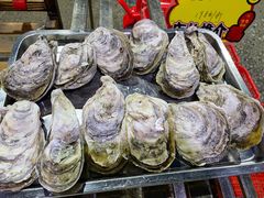 -蚝专家(北滘店)