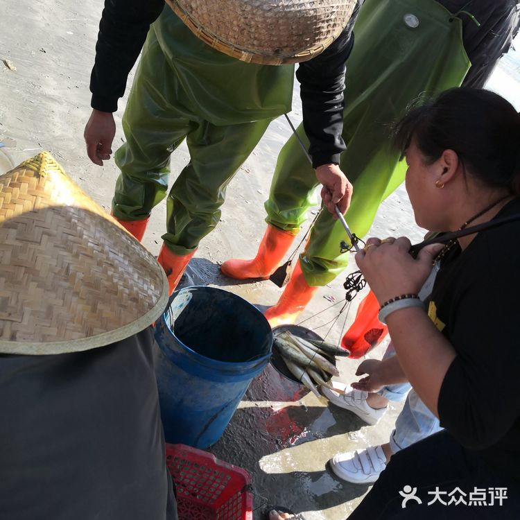 金厢赶海记
