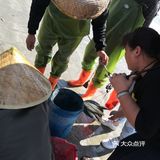 金厢赶海记
