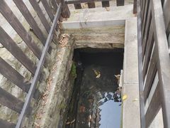 -玉河泉