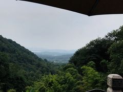 -韬光茶庵