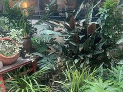 -贰醒·私房小院烧烤 (太古里店)