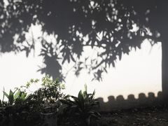 -南京市民俗博物馆(甘熙宅第)