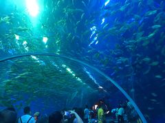 -成都浩海立方海洋公园