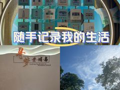 -长洲岛