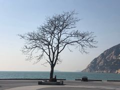 -青岛崂山太清宫