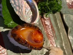 -木村武·手作寿司料理(中山亭店)