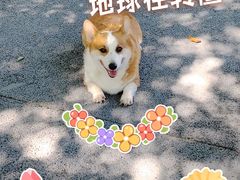 -绿堤公园