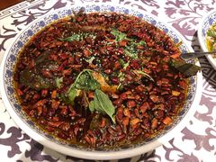 杨记招牌鱼-杨记隆府(时代天街店)